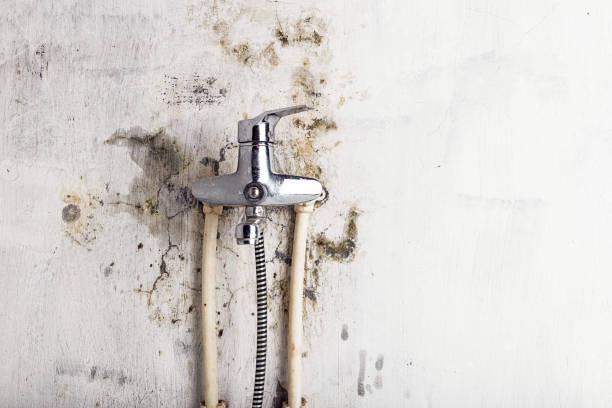 Best Post-Remediation Services in Jenks, OK