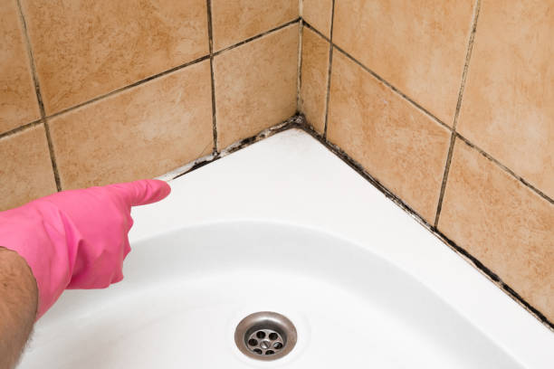 Best Residential Mold Remediation in Jenks, OK